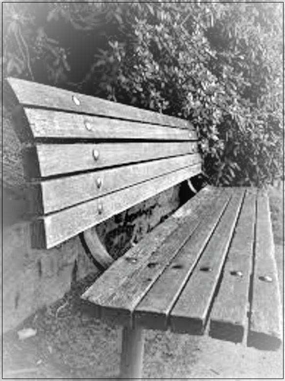 51562037_954884174901557_5285439196008284160_n